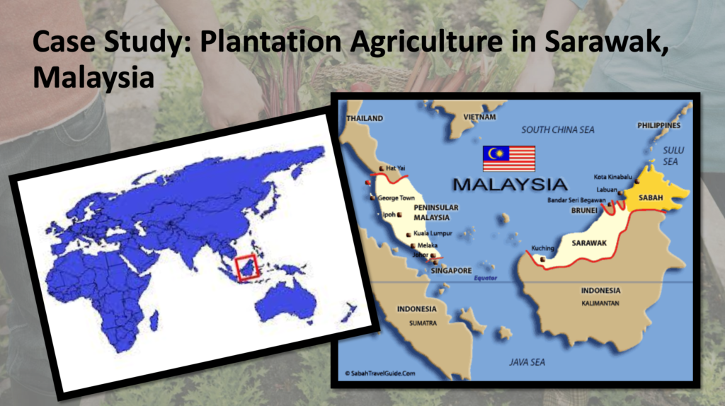 geography of food production